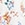 BLOOMING TROPICAL DITSY