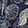 WILD DELIGHT NAVY