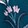 JACOBEAN DREAM TEAL
