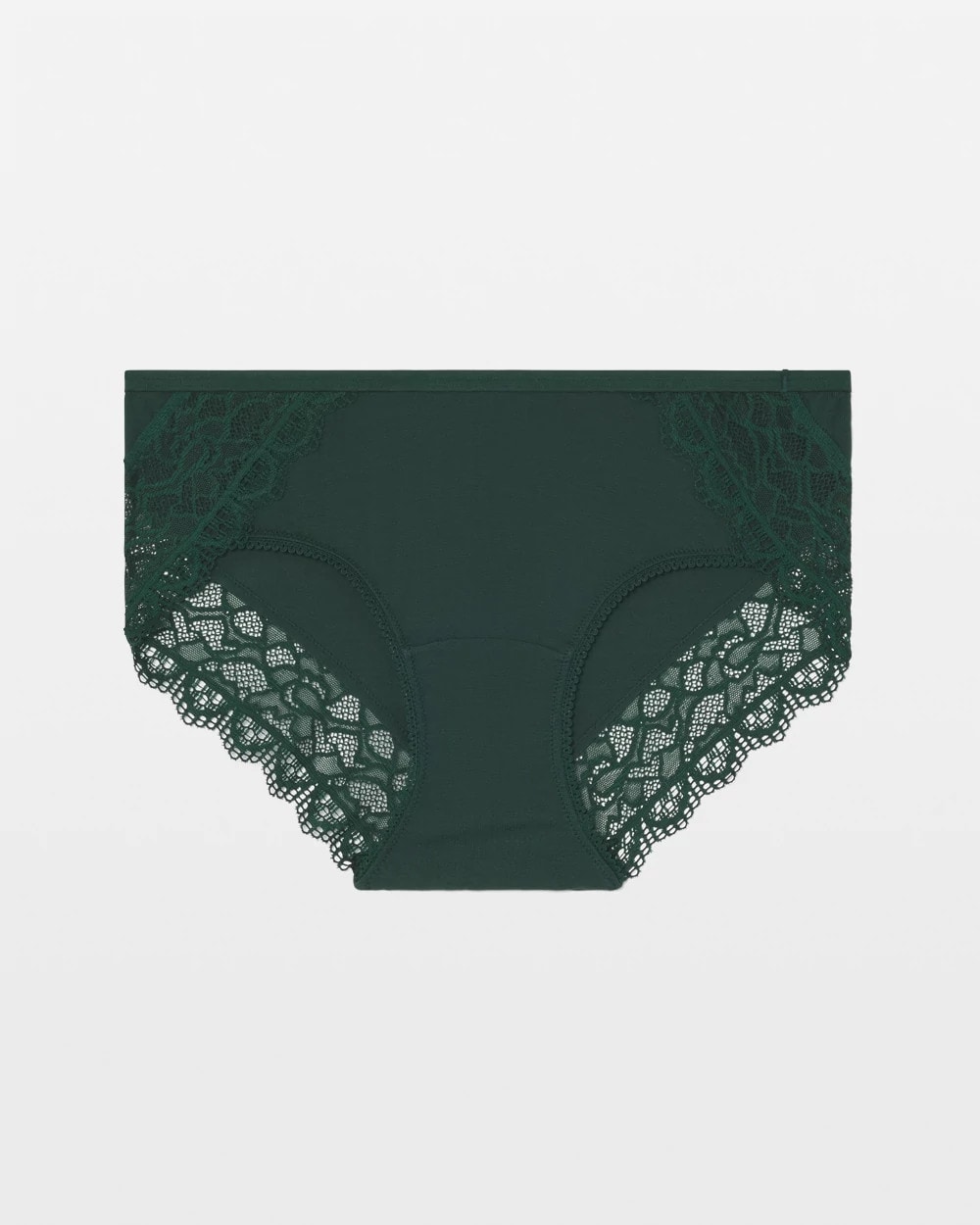 Hipster Panty with Enchanting Lace