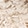 PALE SAND/IVORY