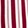 STRIPED TIDINGS CHAMP