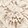 PALE SAND/IVORY