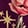 CHIC CHARMS WICKED PLUM