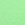 PARAKEET
