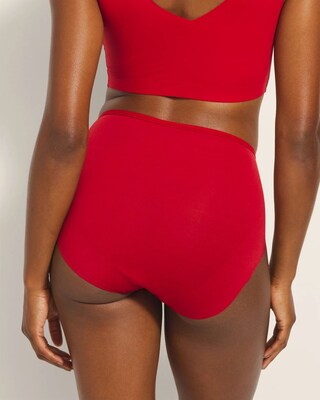 Modern Brief Panty click to view larger image.