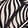 PEACEFUL PALMS MICRO BLK